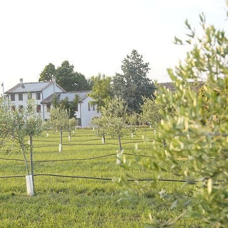 Apartament Casa Di Alba - Alloggi Turistici Vigolzone Zewnętrze zdjęcie