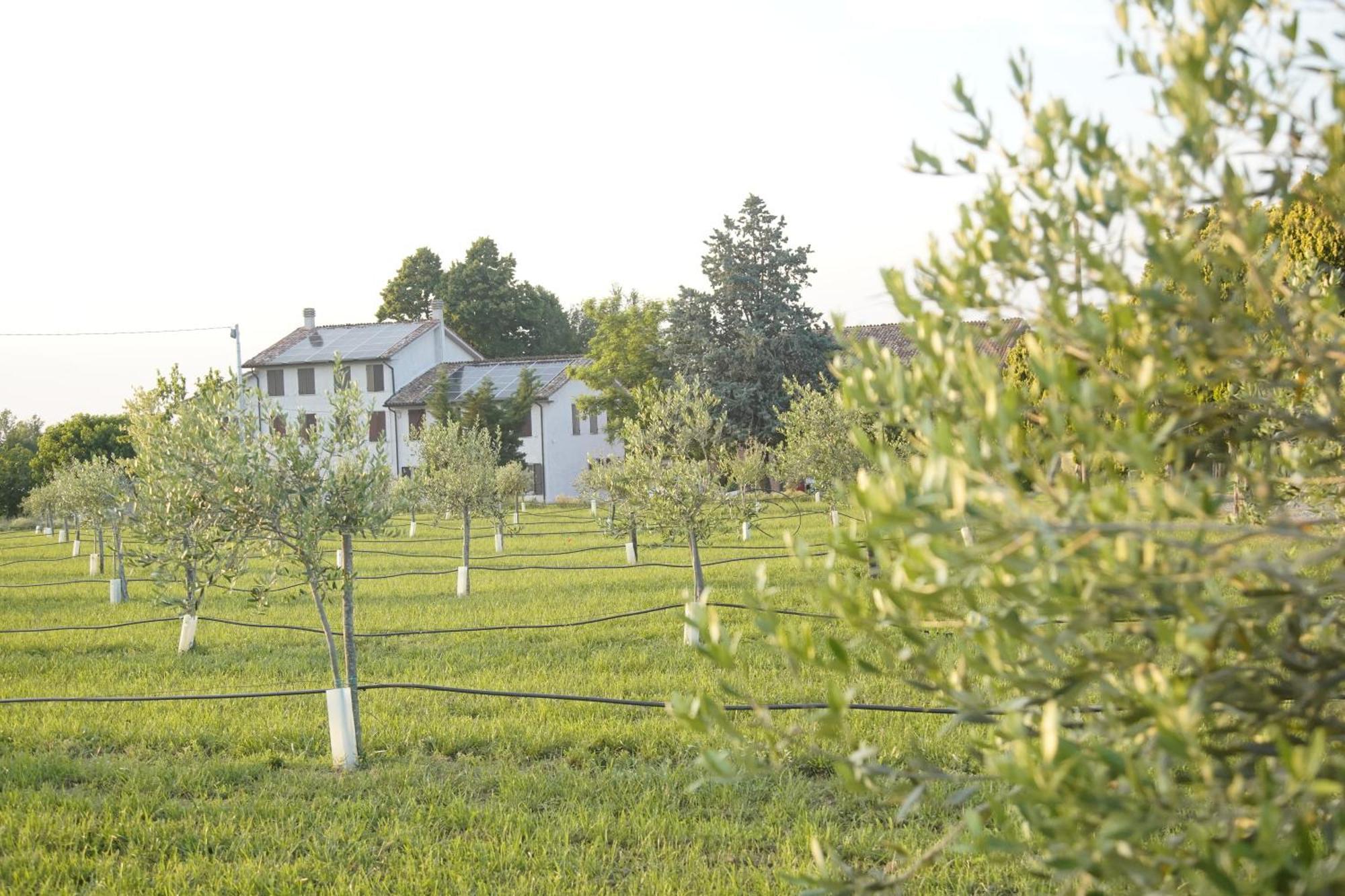 Apartament Casa Di Alba - Alloggi Turistici Vigolzone Zewnętrze zdjęcie